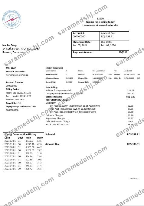 Dominica Electricity Services Limited electricity business utility bill word and pdf formats